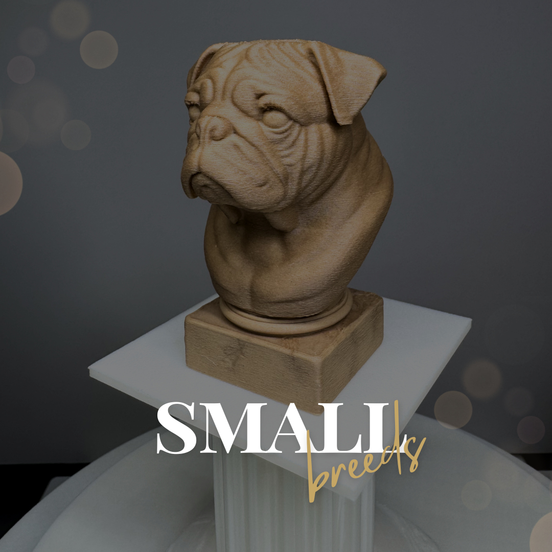 Small Breed Busts - Fetch & Form