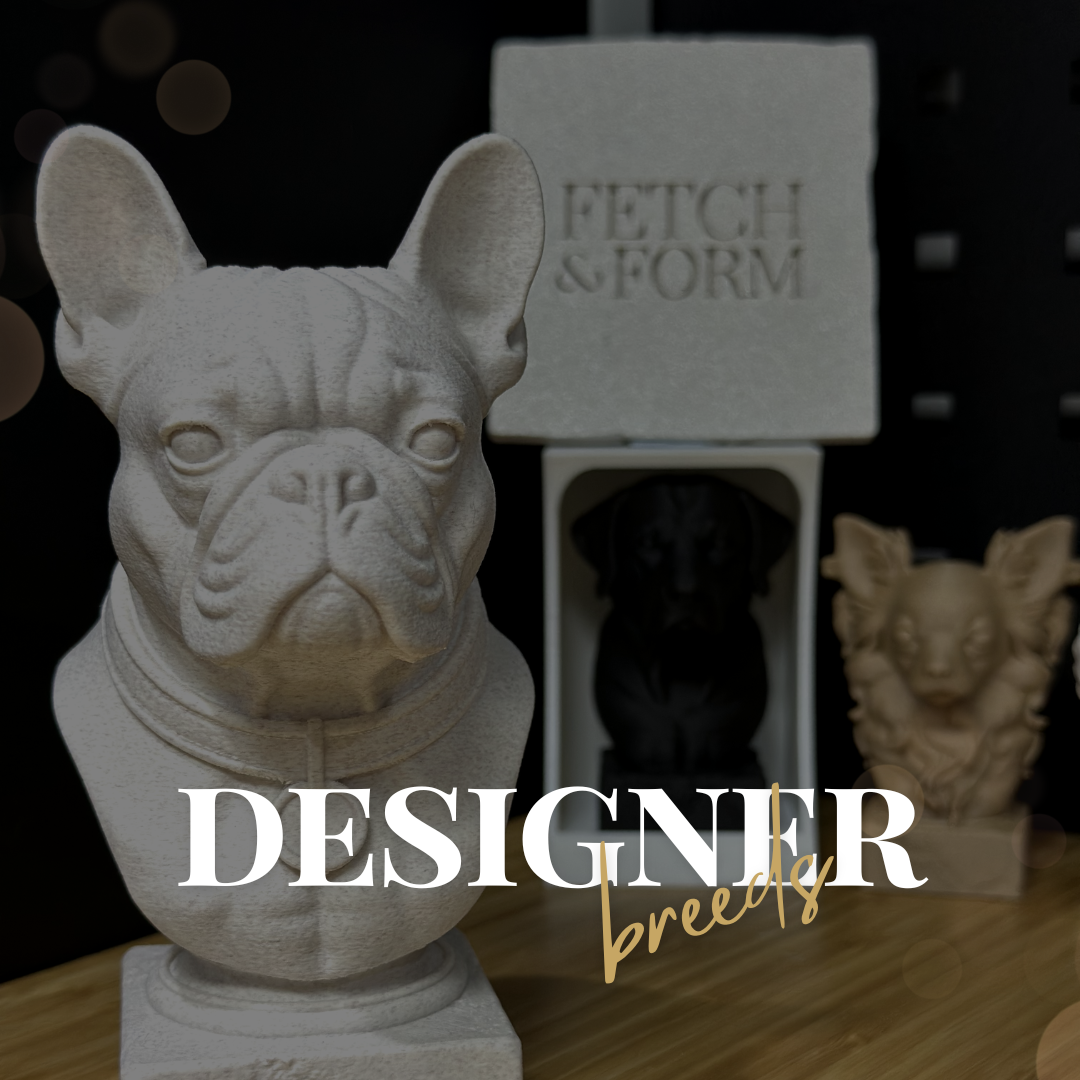 Designer Busts - Fetch & Form