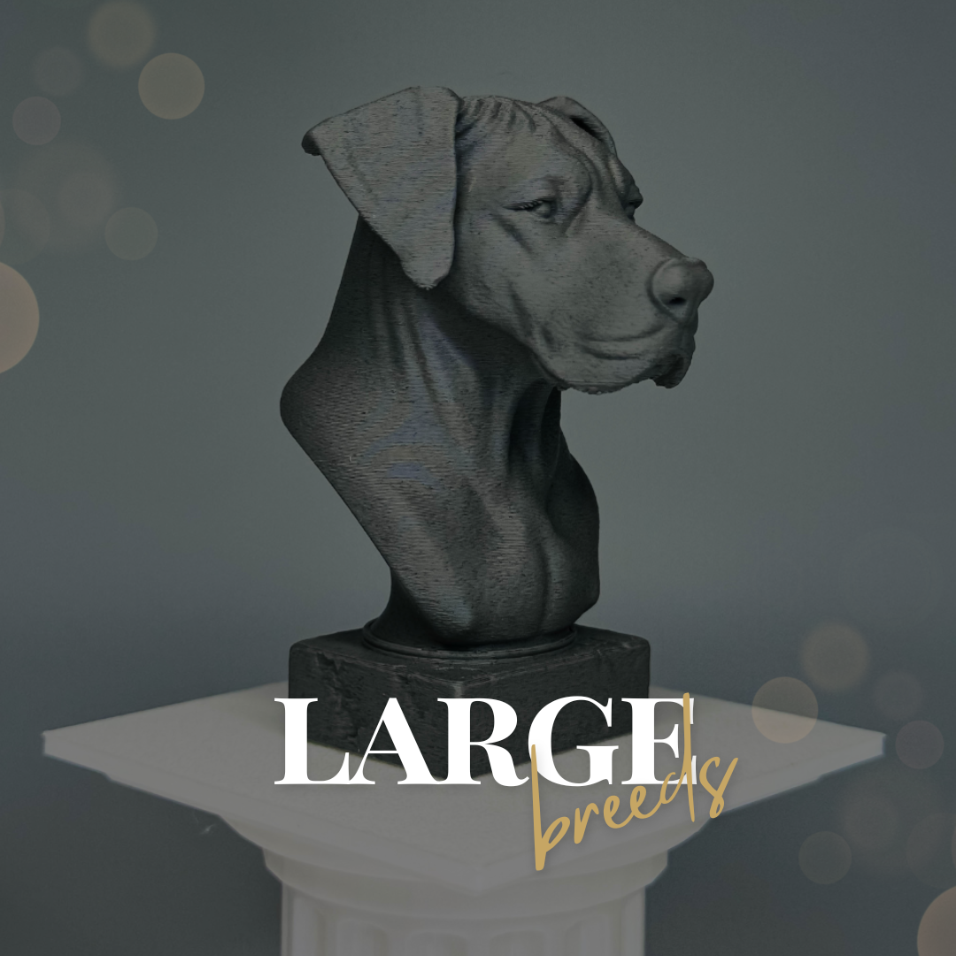 Great Dane bust on podium - Fetch & Form