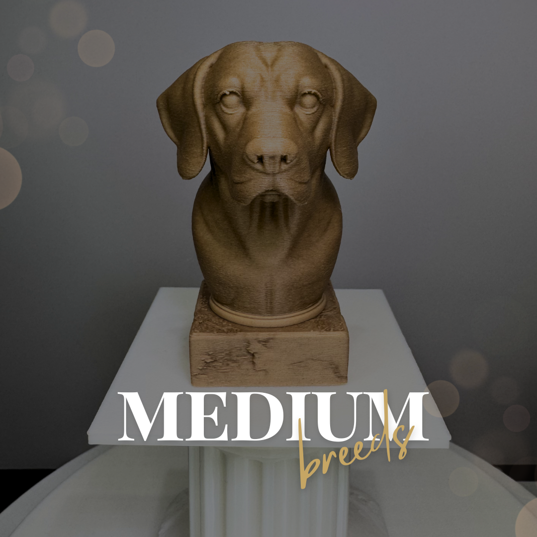 Golden Retriever Bust - Fetch & Form