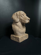 Golden Retriever Bust (English)