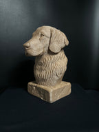 Golden Retriever Bust (English)