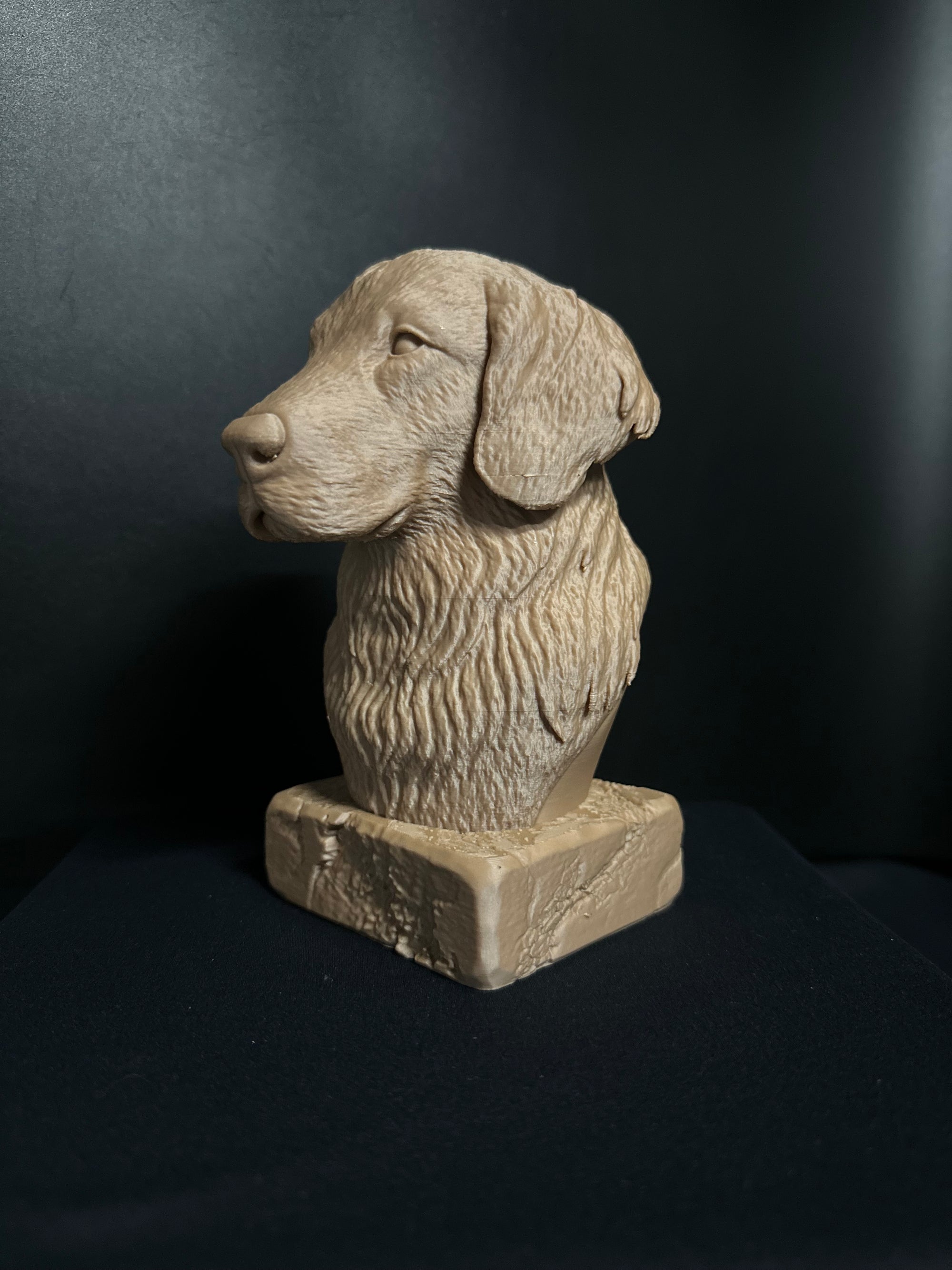 Golden Retriever Bust (English)