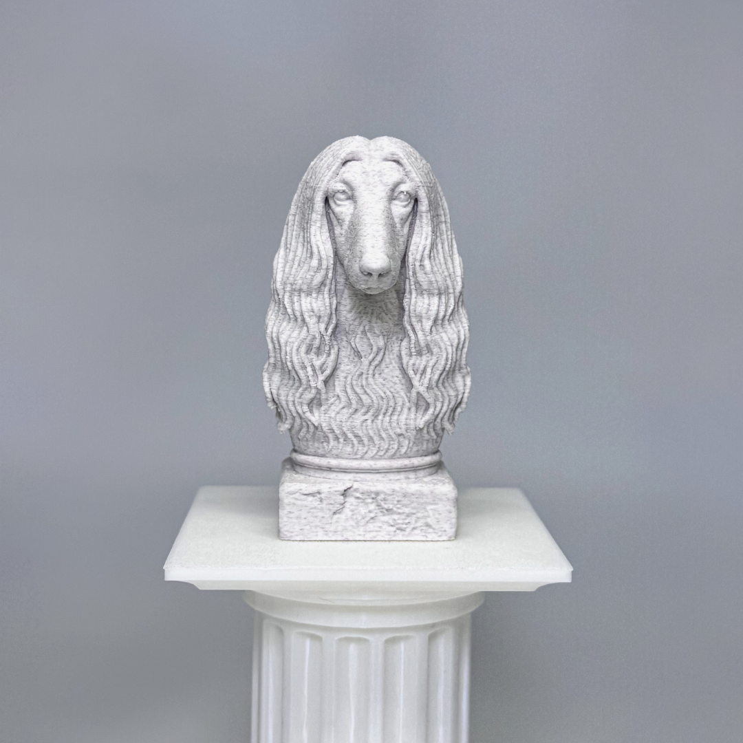 Afghan Hound Bust