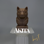 Akita Dog Bust