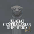 Alabai Central Asian Shepherd Bust