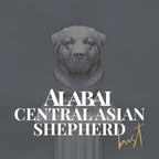 Alabai Central Asian Shepherd Dog Bust