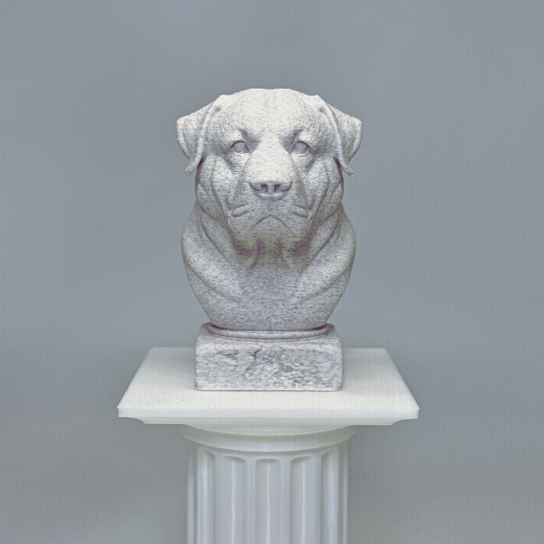 Alabai Central Asian Shepherd Dog Bust