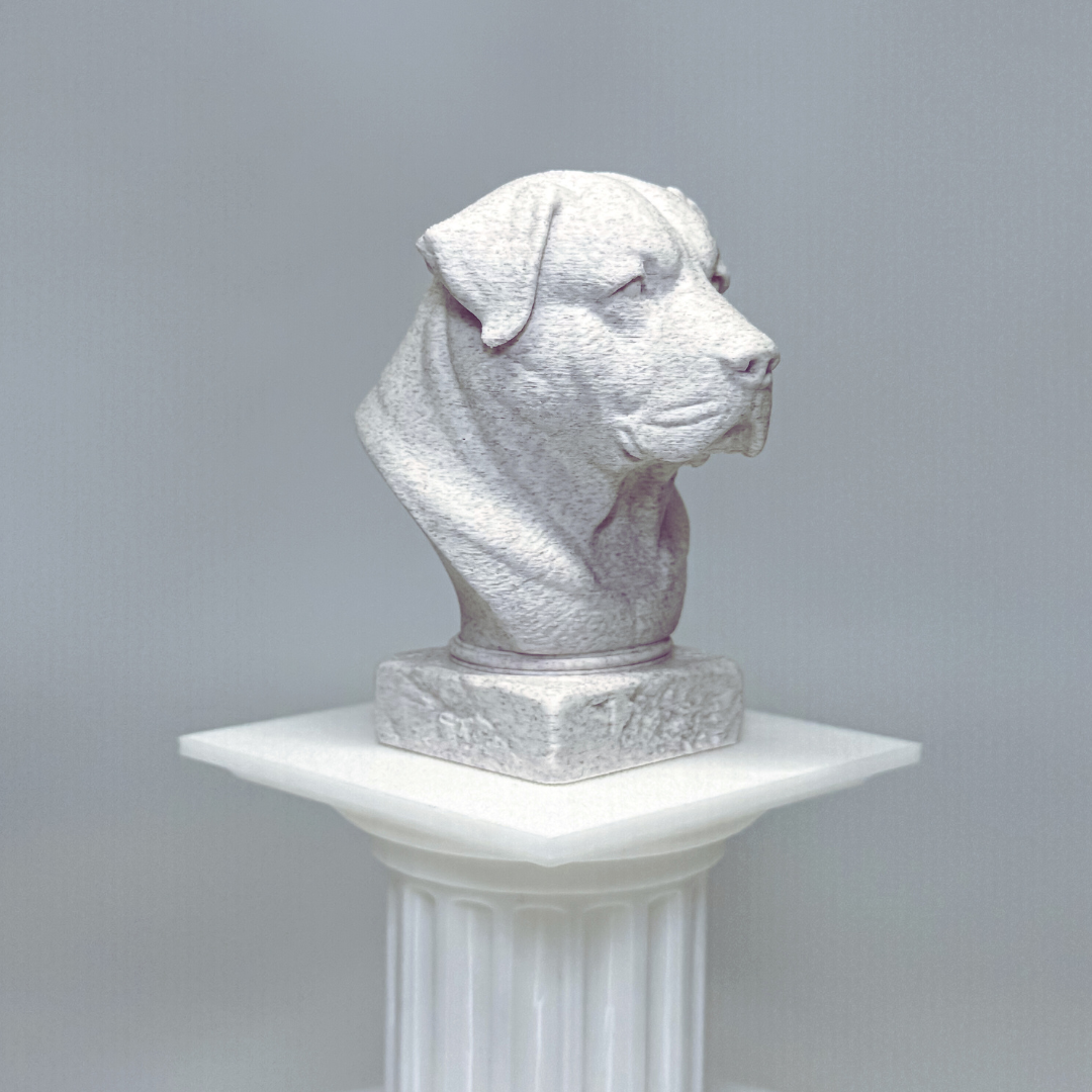 Alabai Central Asian Shepherd Dog Bust