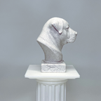 Alabai Central Asian Shepherd Dog Bust
