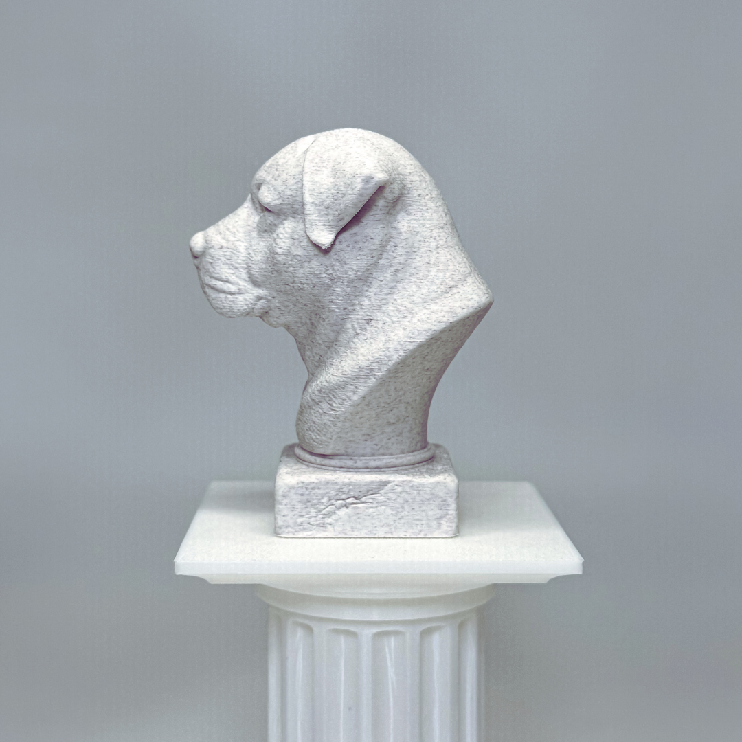 Alabai Central Asian Shepherd Dog Bust