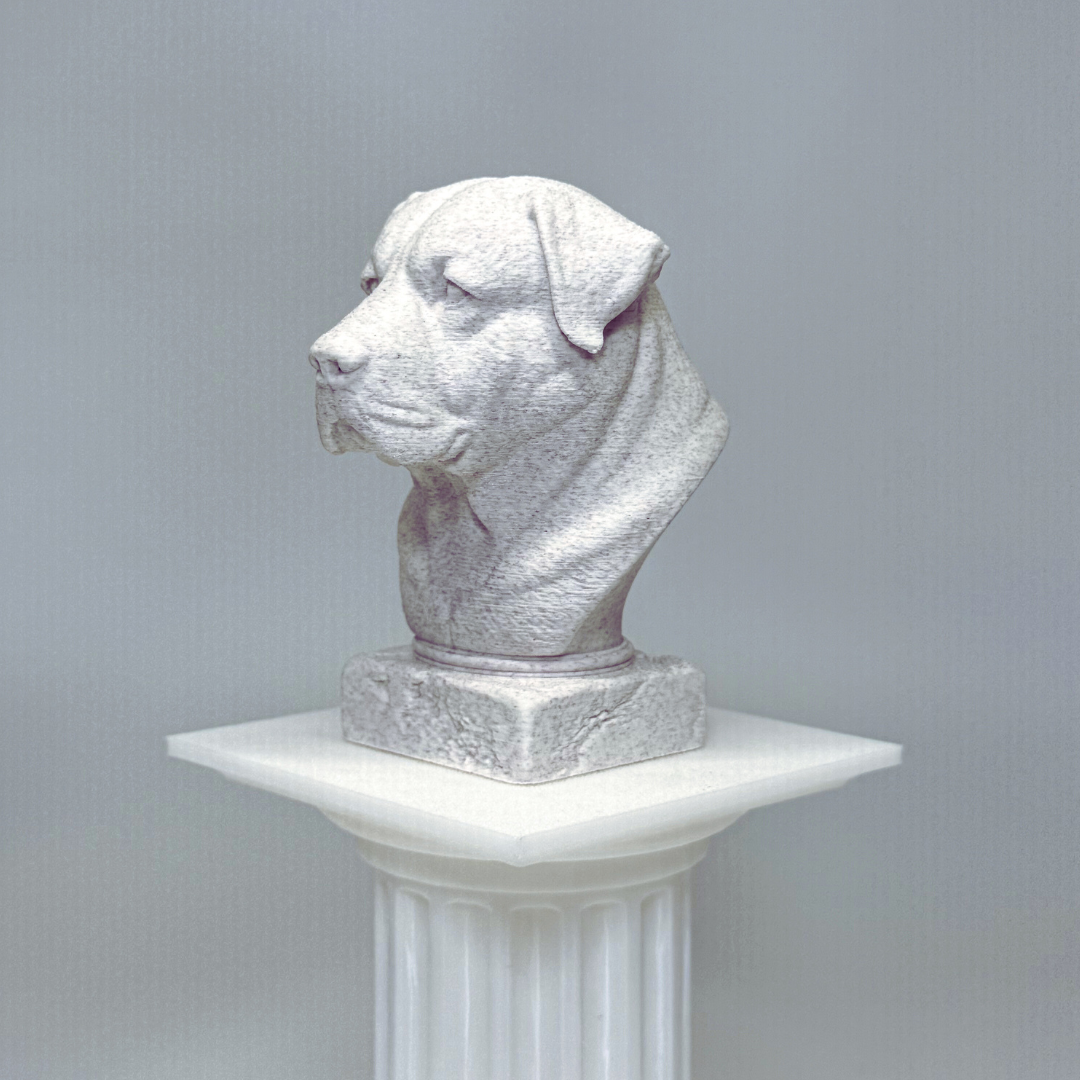 Alabai Central Asian Shepherd Dog Bust