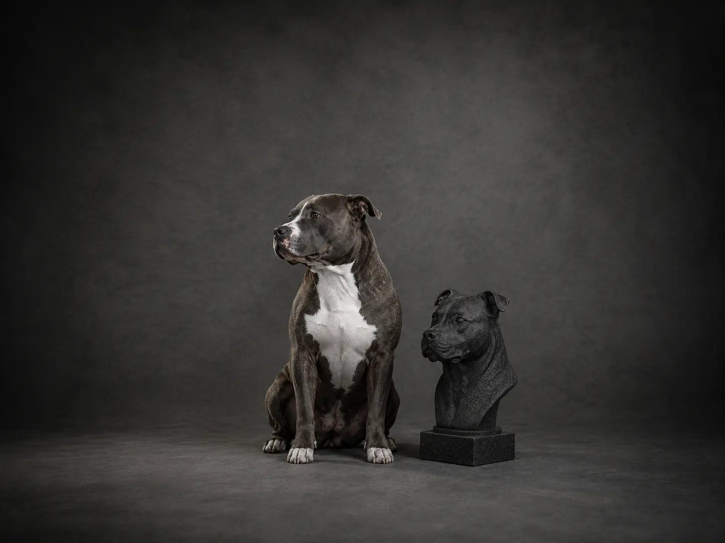 Custom Forever Form, a hand sculpted dog bust from Fetch & Form