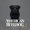 American Bulldog Bust