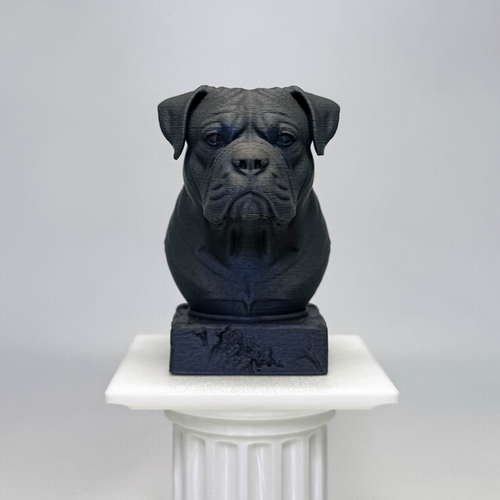 American Bulldog Bust