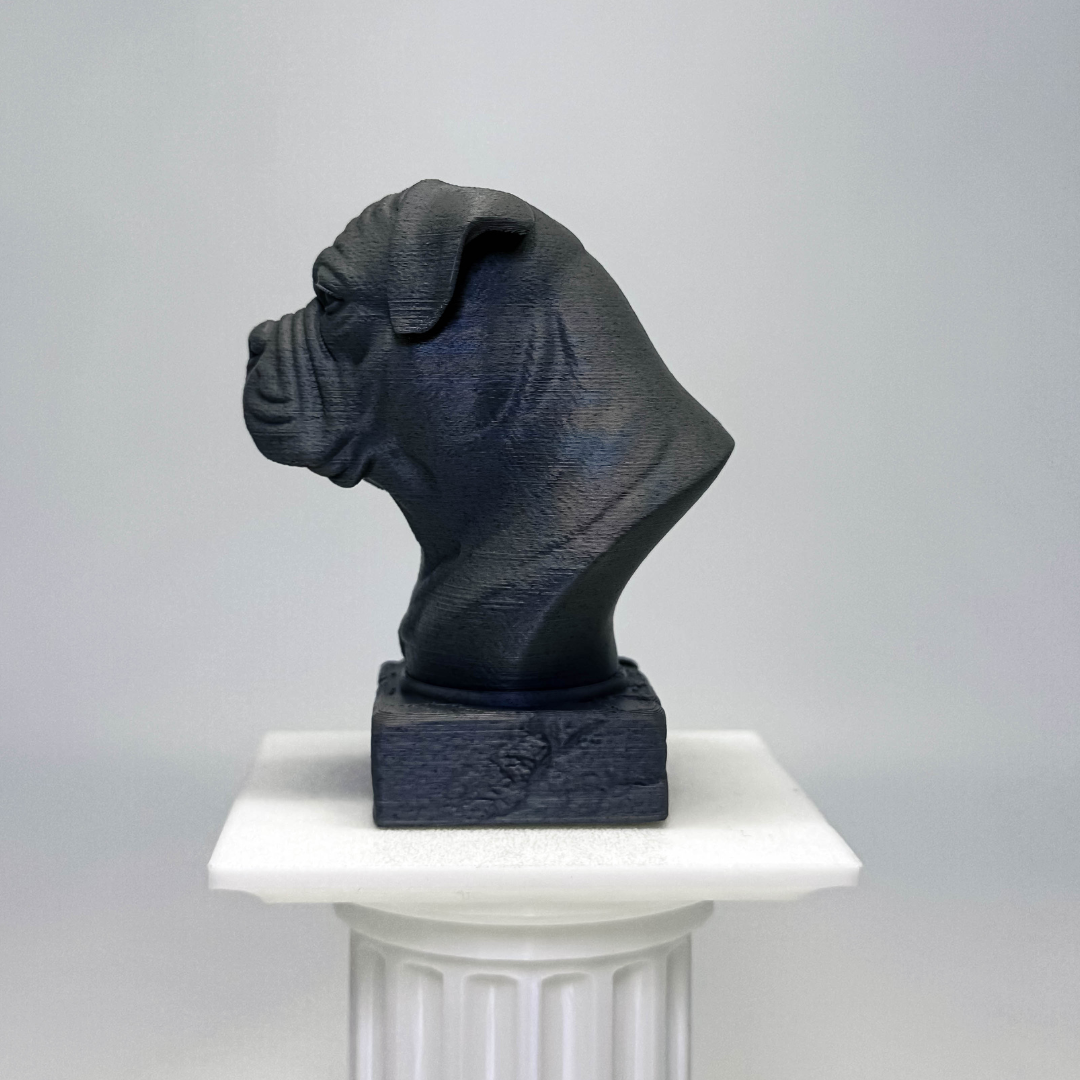 American Bulldog Bust