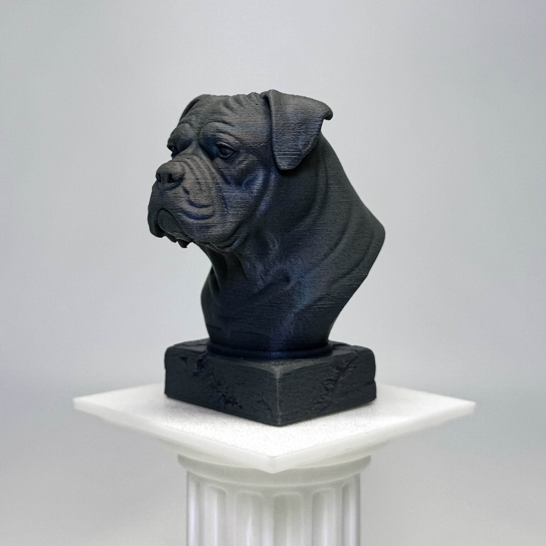 American Bulldog Bust