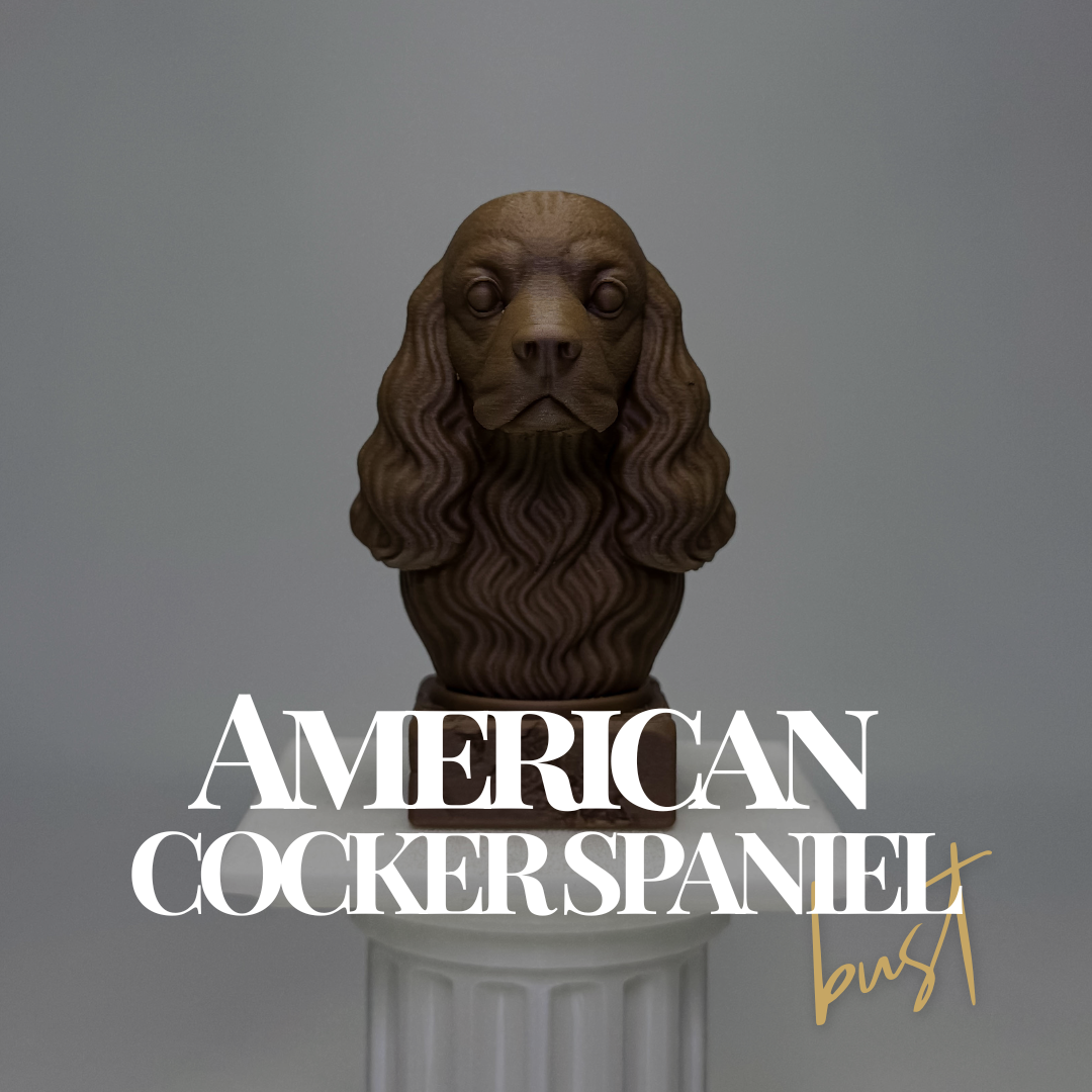 American Cocker Spaniel Bust