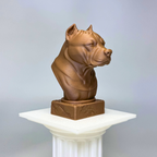 American Staffordshire Terrier