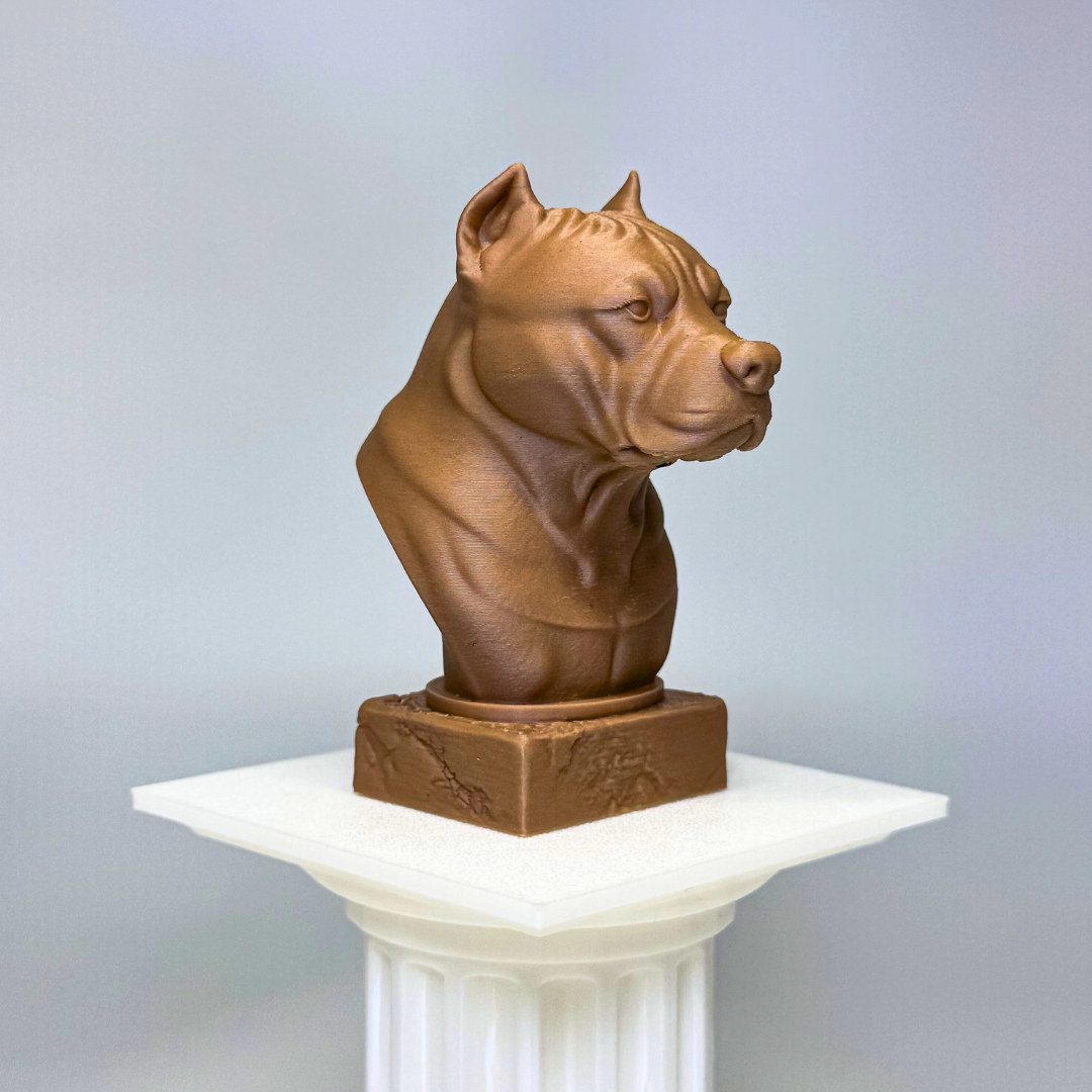 American Staffordshire Terrier
