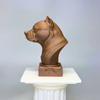 American Staffordshire Terrier