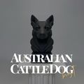 Australian Cattle Dog Bust