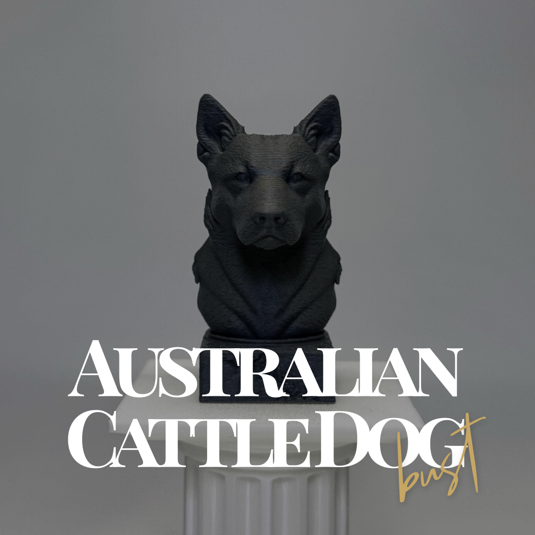 Australian Cattle Dog Bust
