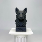 Australian Cattle Dog Bust