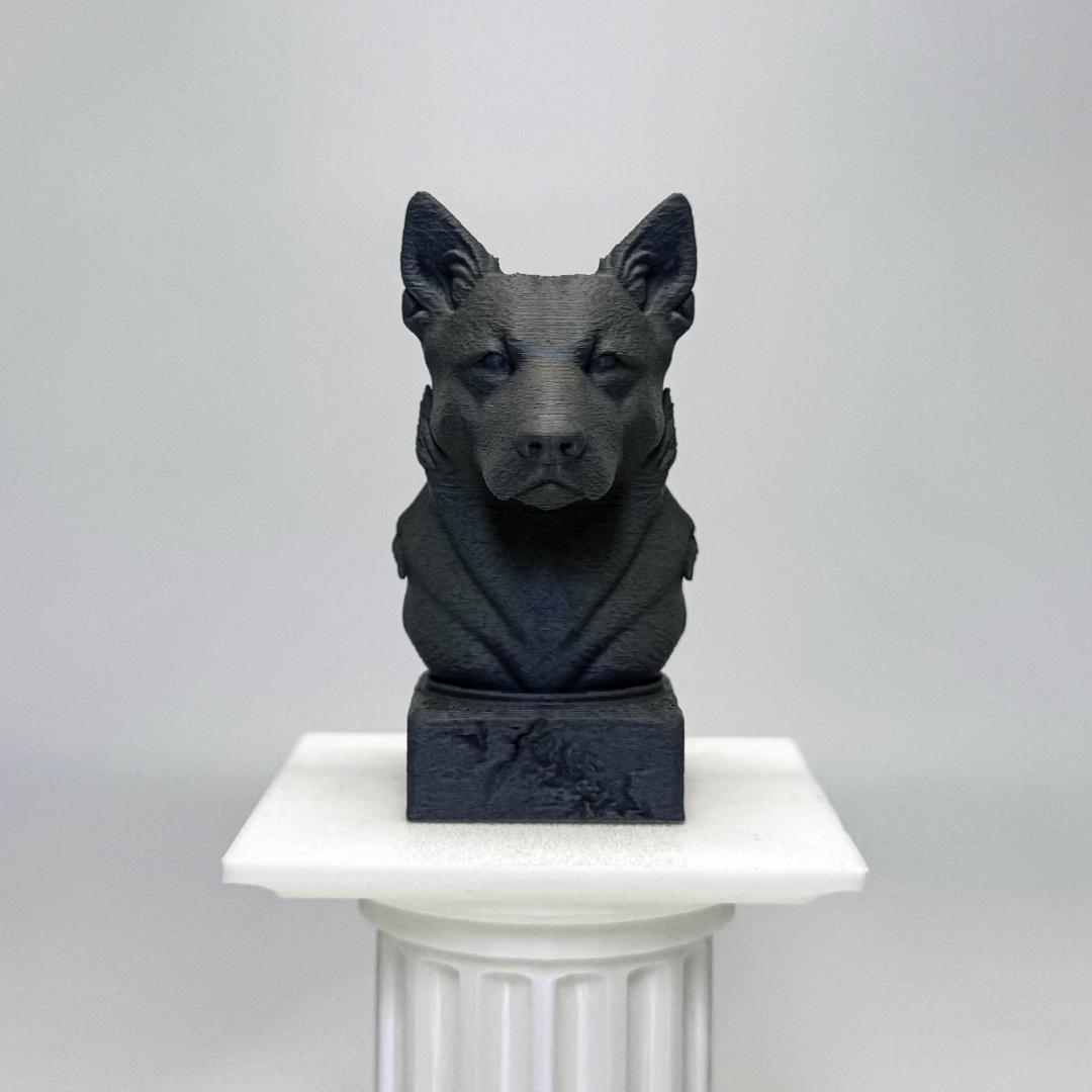 Australian Cattle Dog Bust