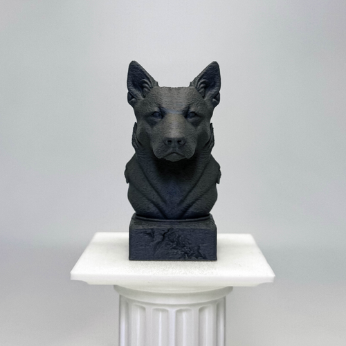 Australian Cattle Dog Bust