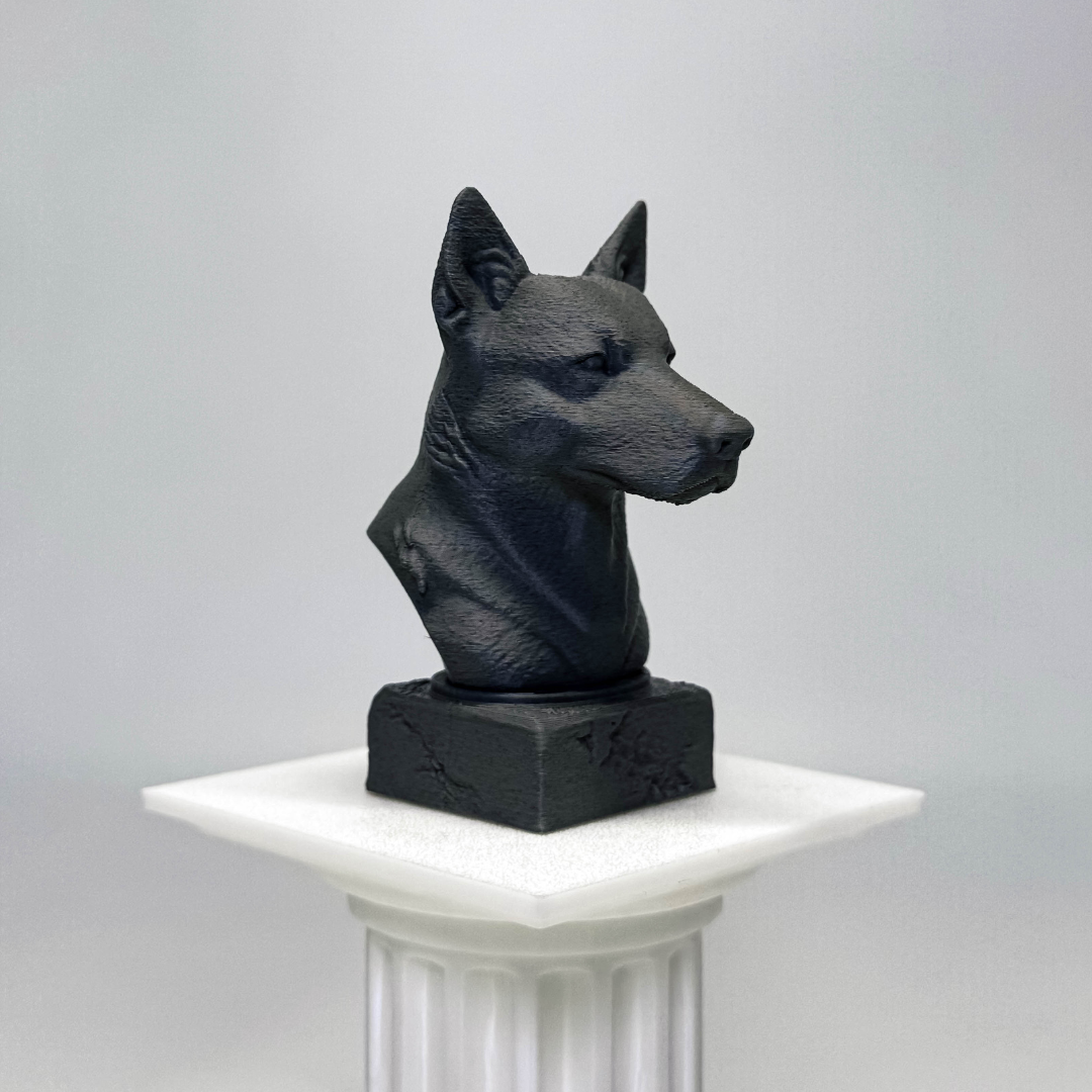 Australian Cattle Dog Bust