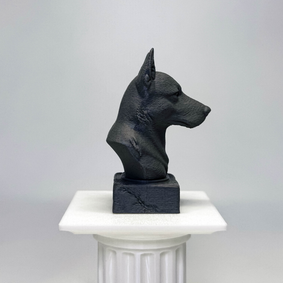 Australian Cattle Dog Bust