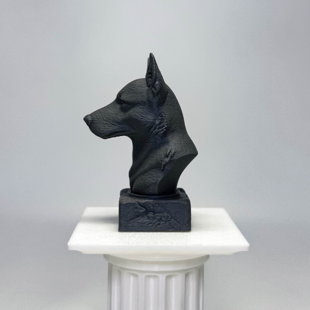 Australian Cattle Dog Bust