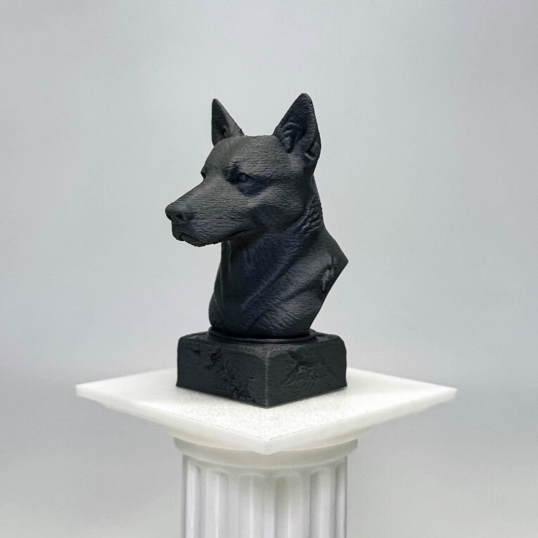 Australian Cattle Dog Bust