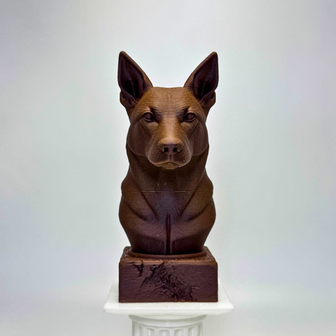Australian Kelpie Bust