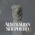 Australian Shepherd Bust