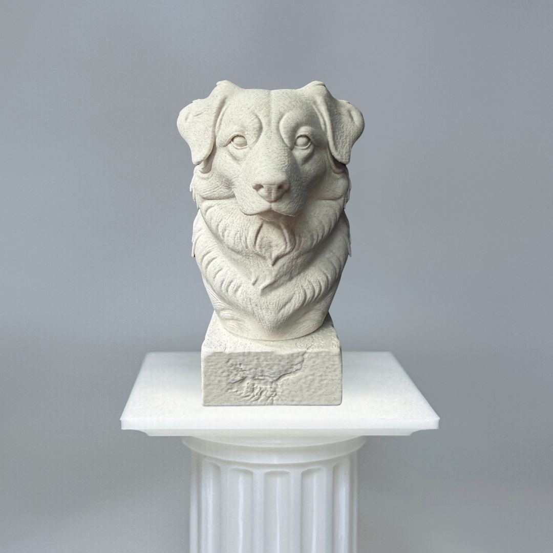 Australian Shepherd Bust