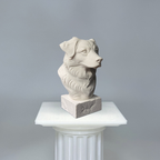 Australian Shepherd Bust