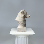 Australian Shepherd Bust