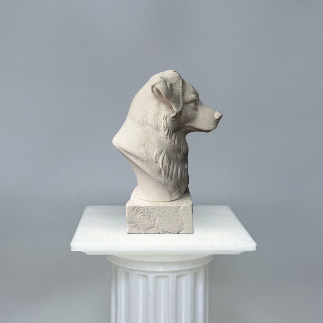 Australian Shepherd Bust