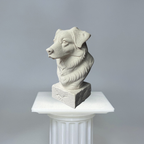 Australian Shepherd Bust
