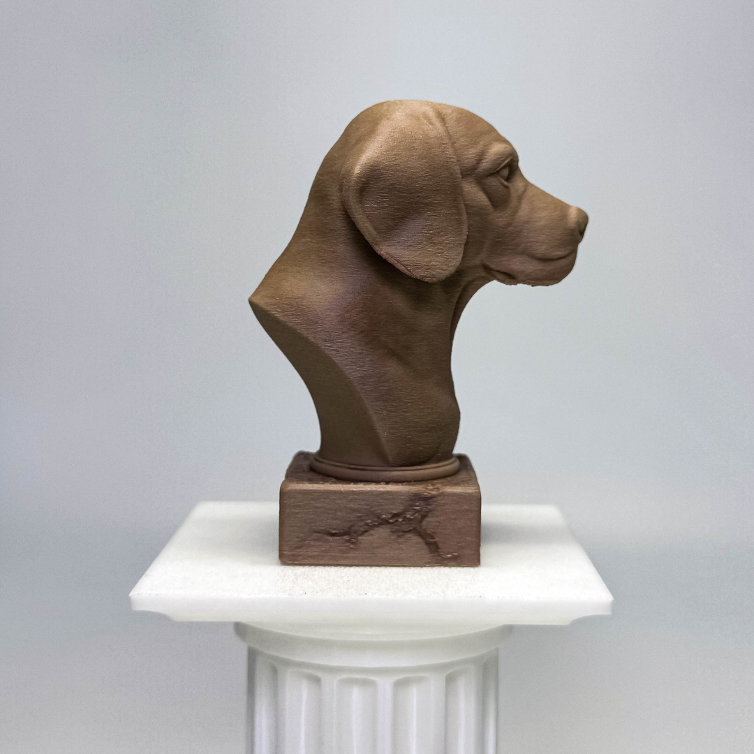Beagle Bust
