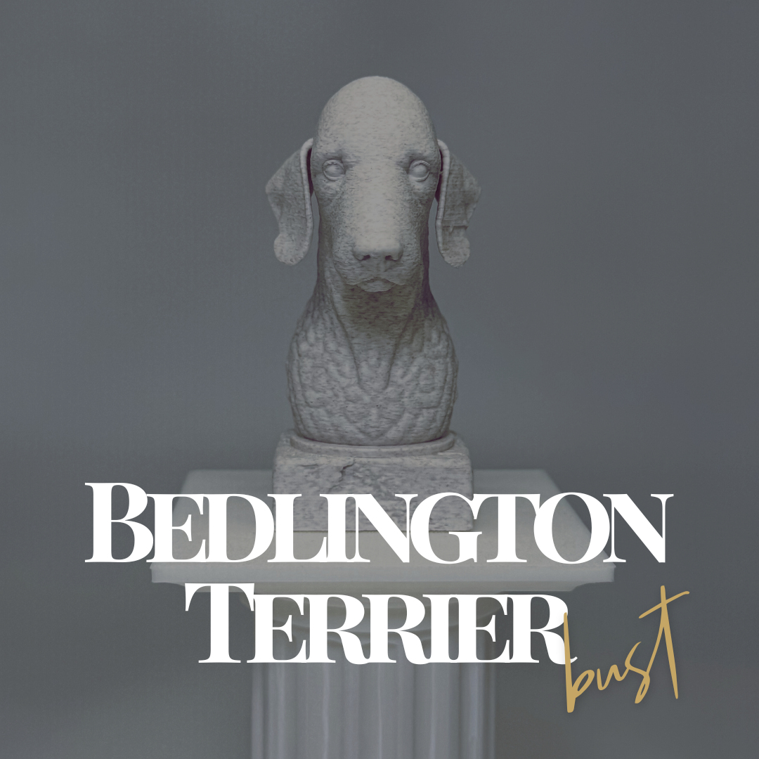 Bedlington Terrier Bust