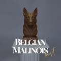 Belgian Malinois Bust