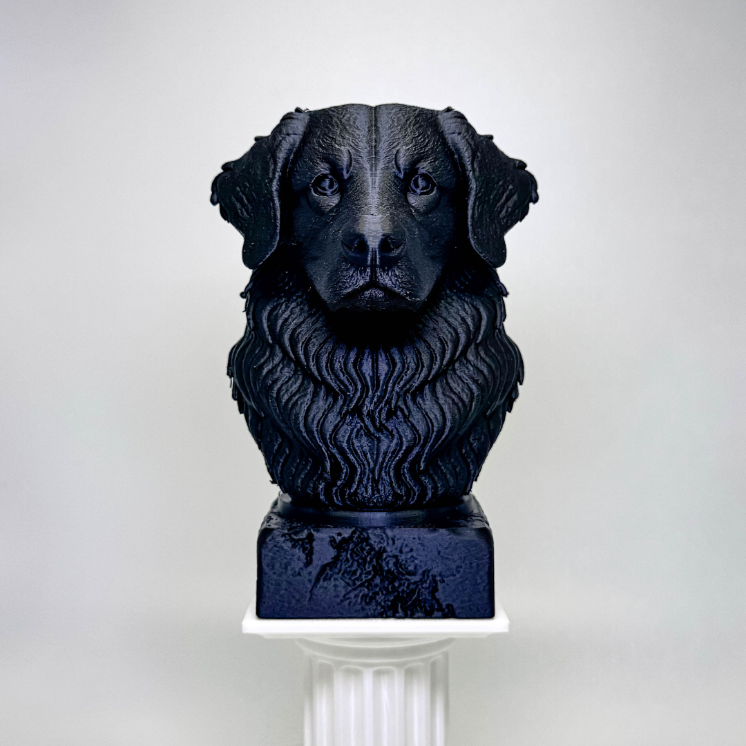 Bernese Mountain Dog Bust