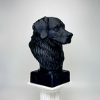 Bernese Mountain Dog Bust