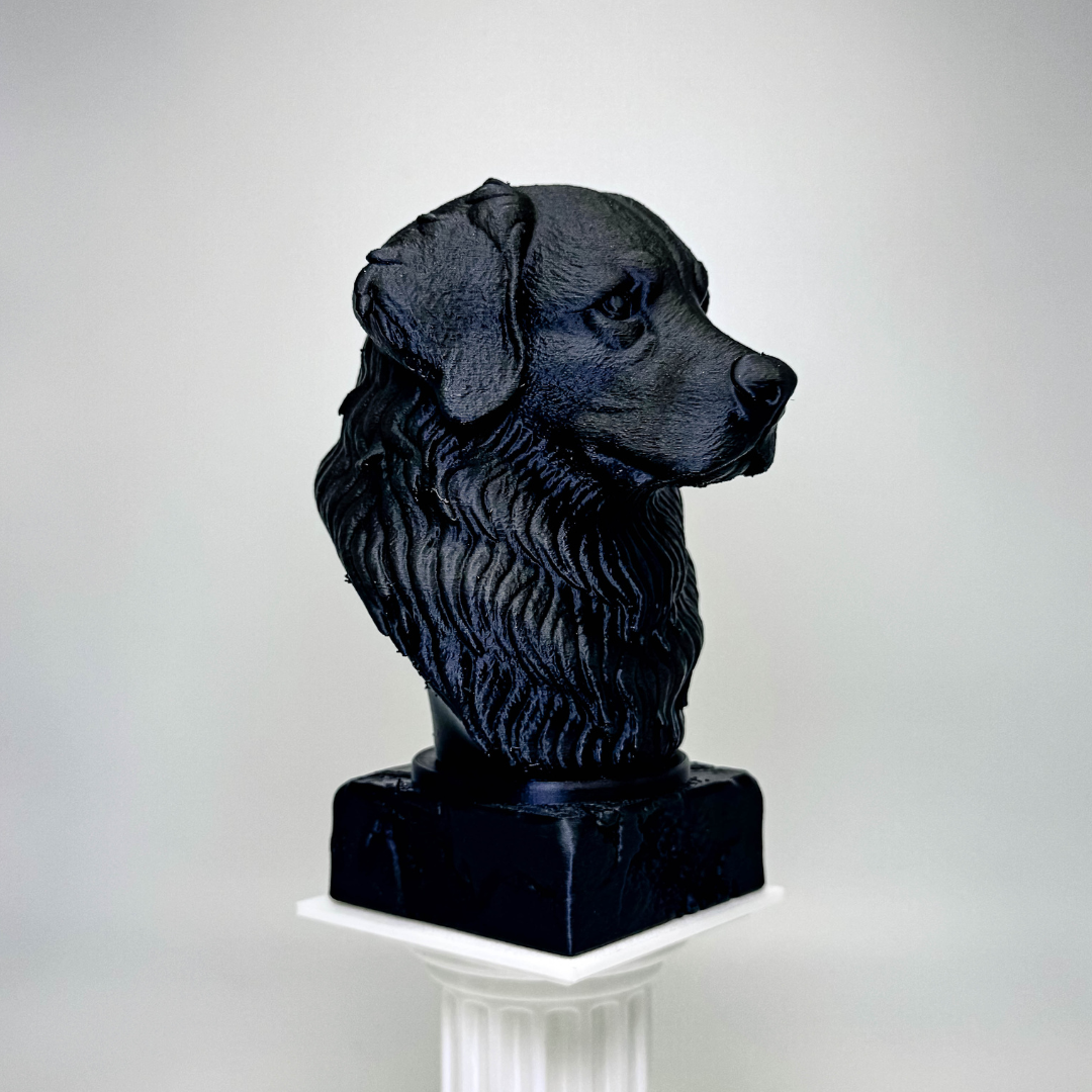 Bernese Mountain Dog Bust
