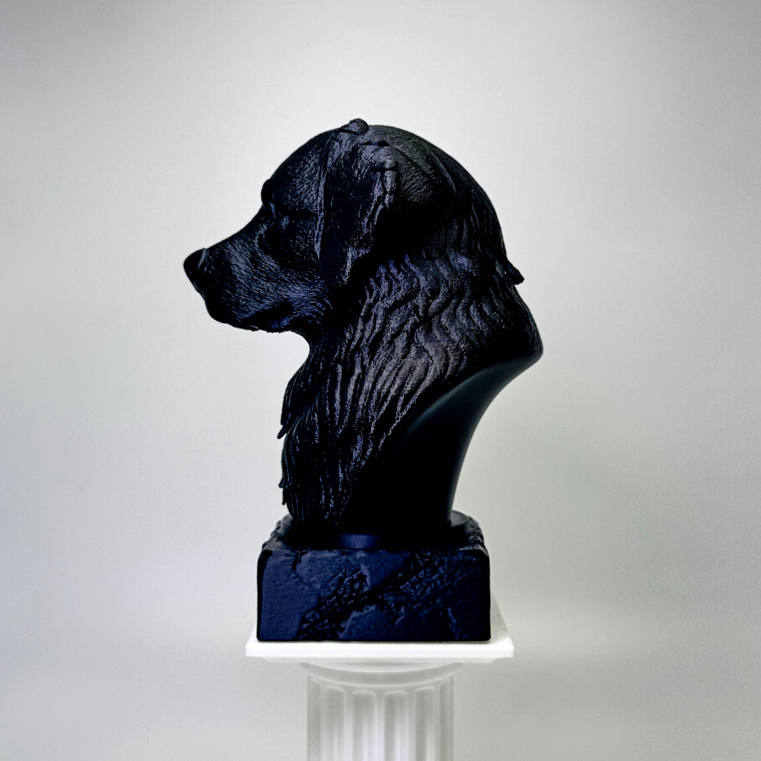 Bernese Mountain Dog Bust