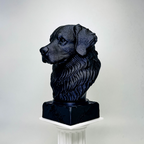 Bernese Mountain Dog Bust