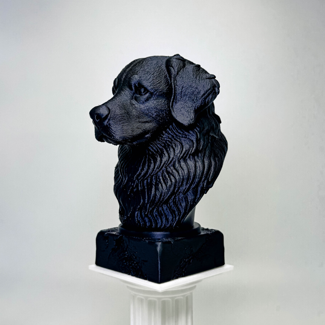 Bernese Mountain Dog Bust